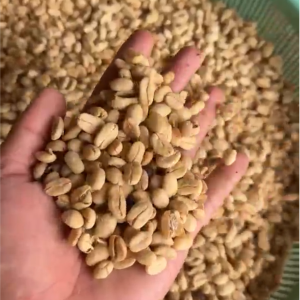 arabica coffee