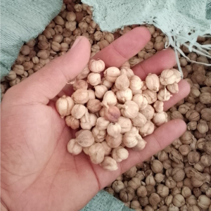 cardamom
