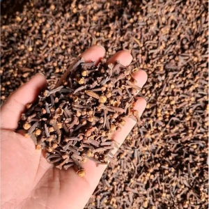 cloves