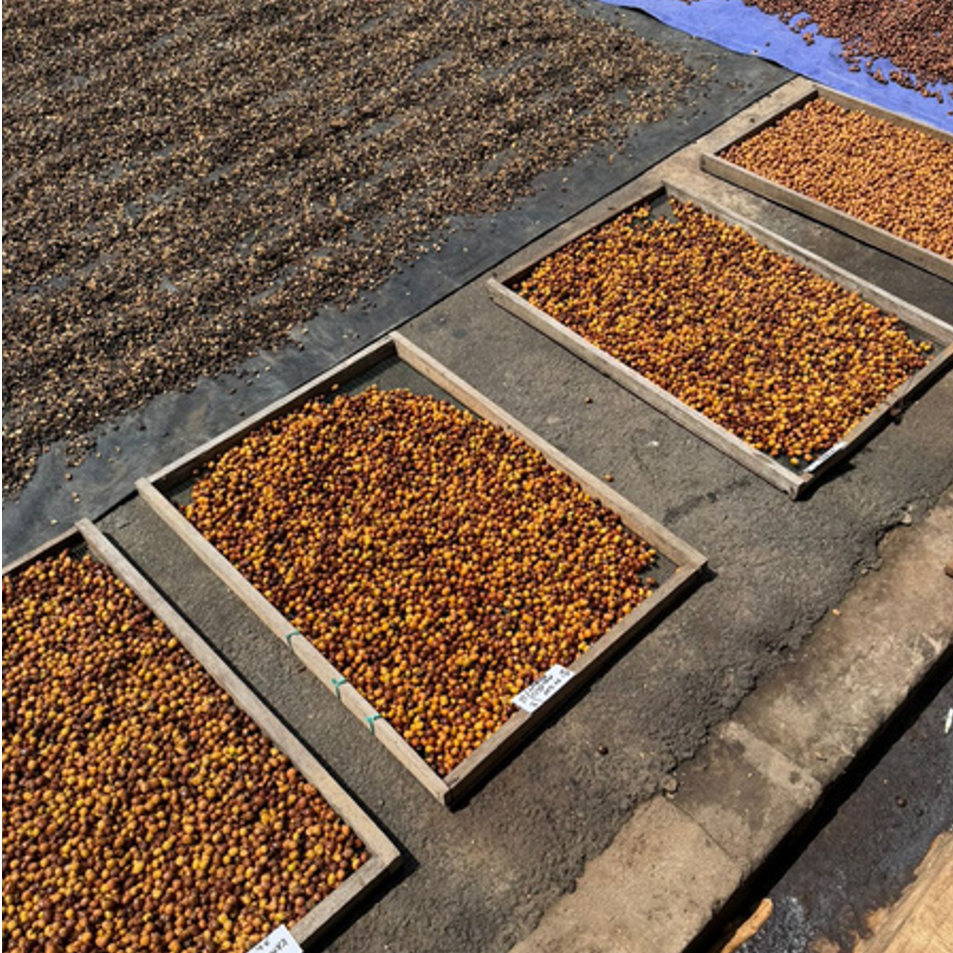 coffee 2