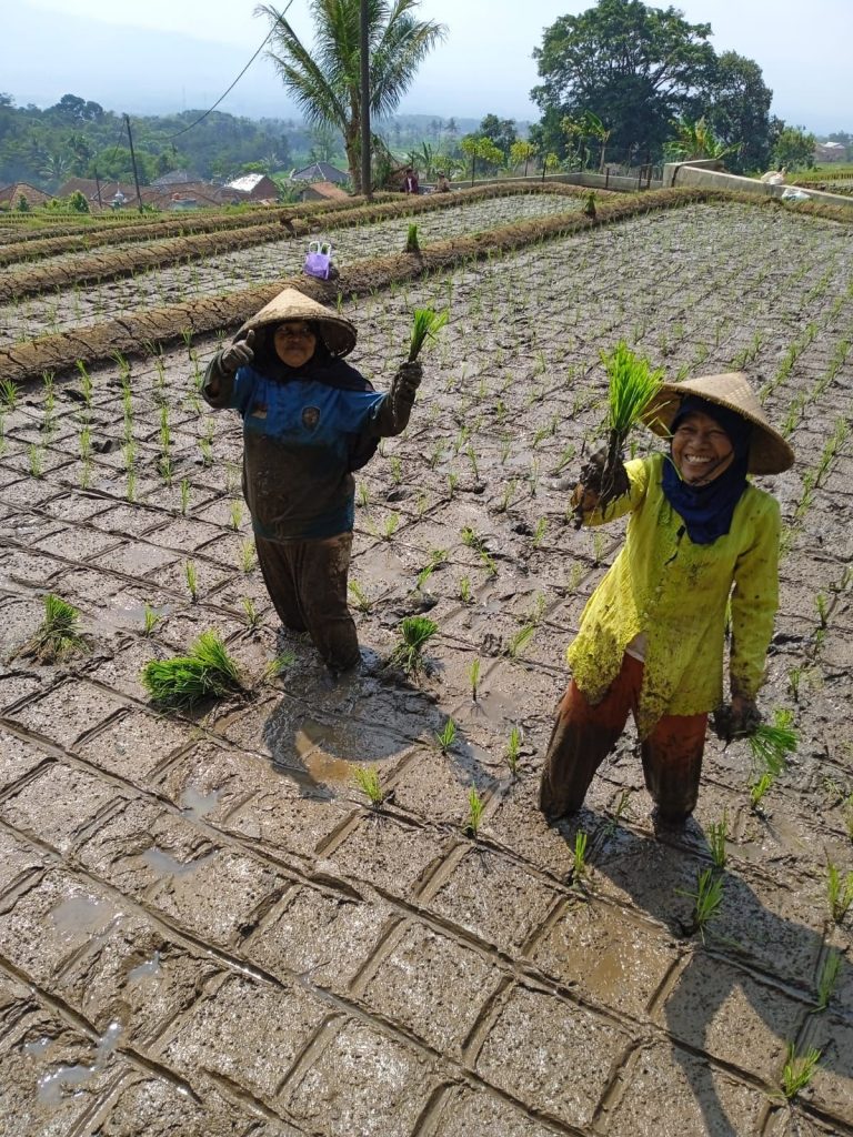 local farmers