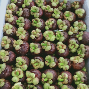 mangosteen