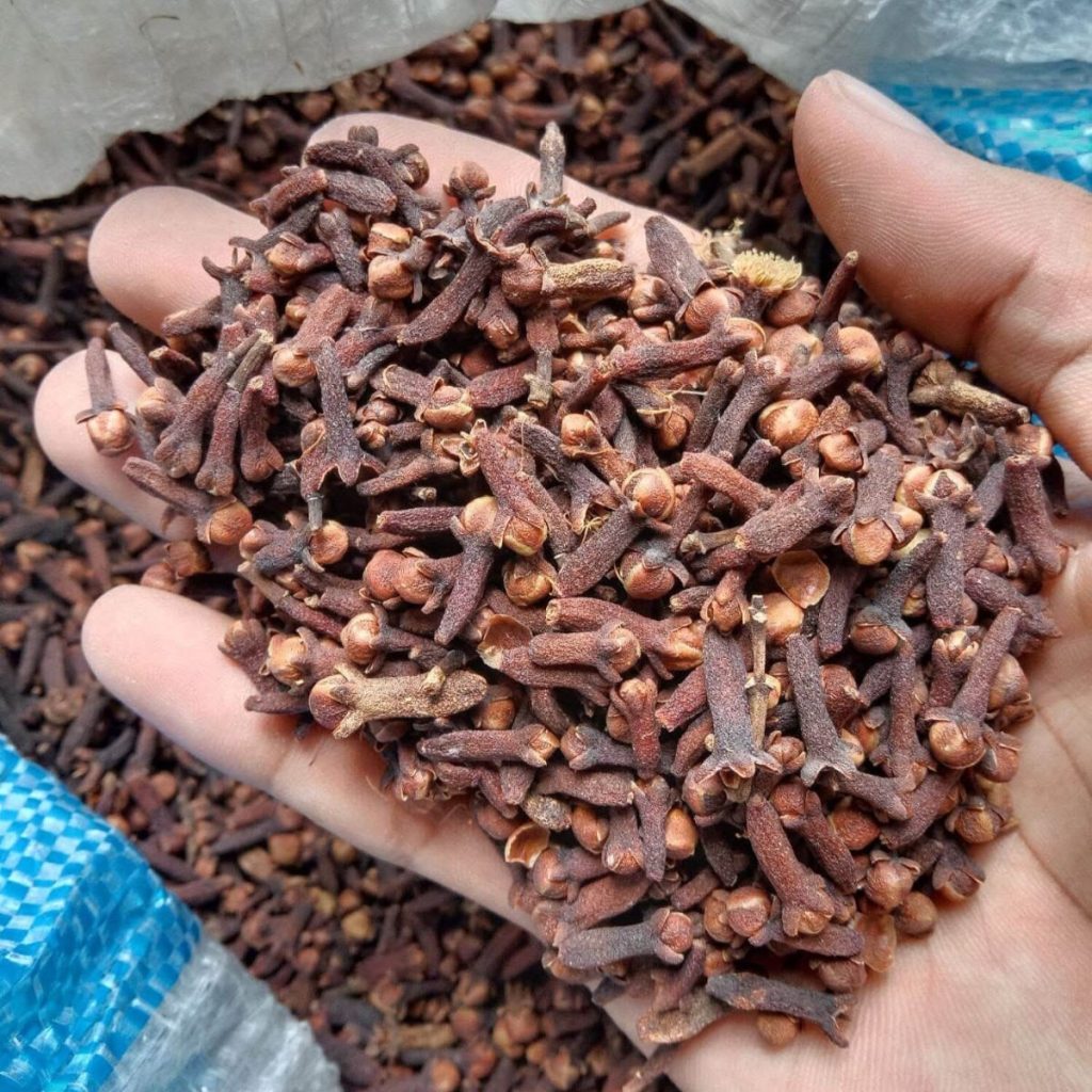 Home premium cloves