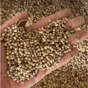 white pepper